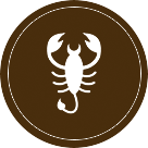 Today Horoscope Scorpio